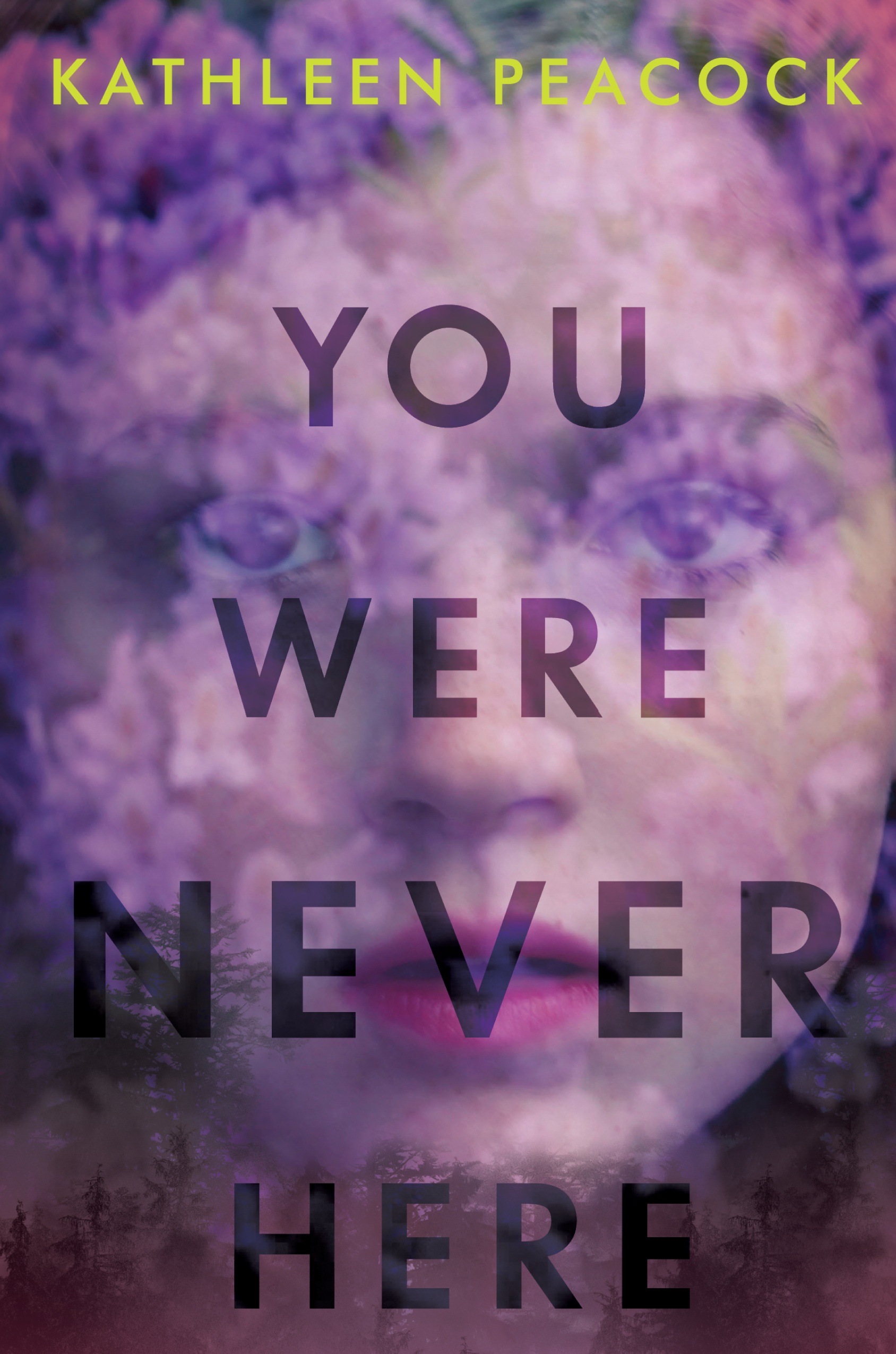 Cover of You Were Never Here