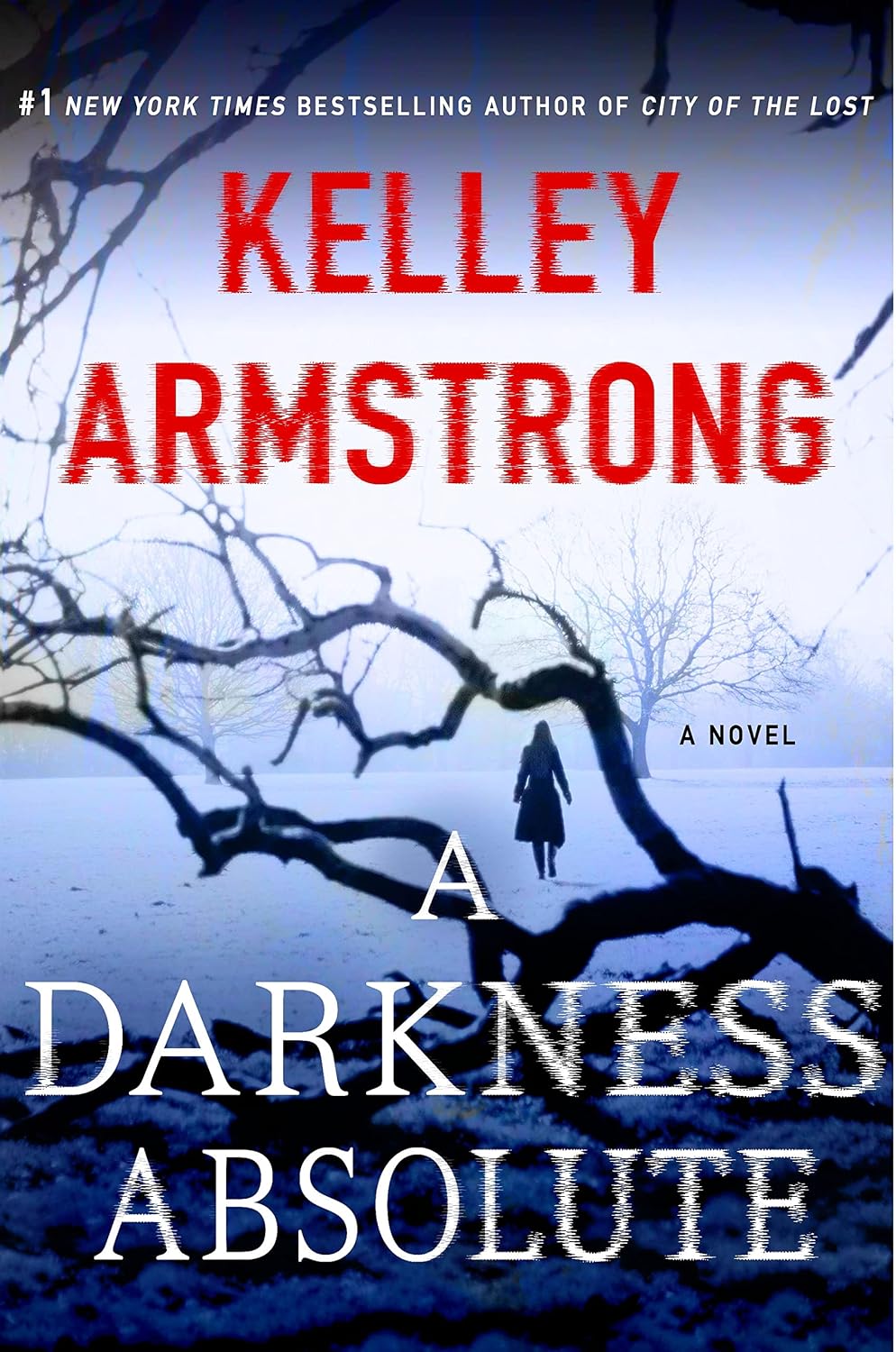 Cover of A darkness absolute