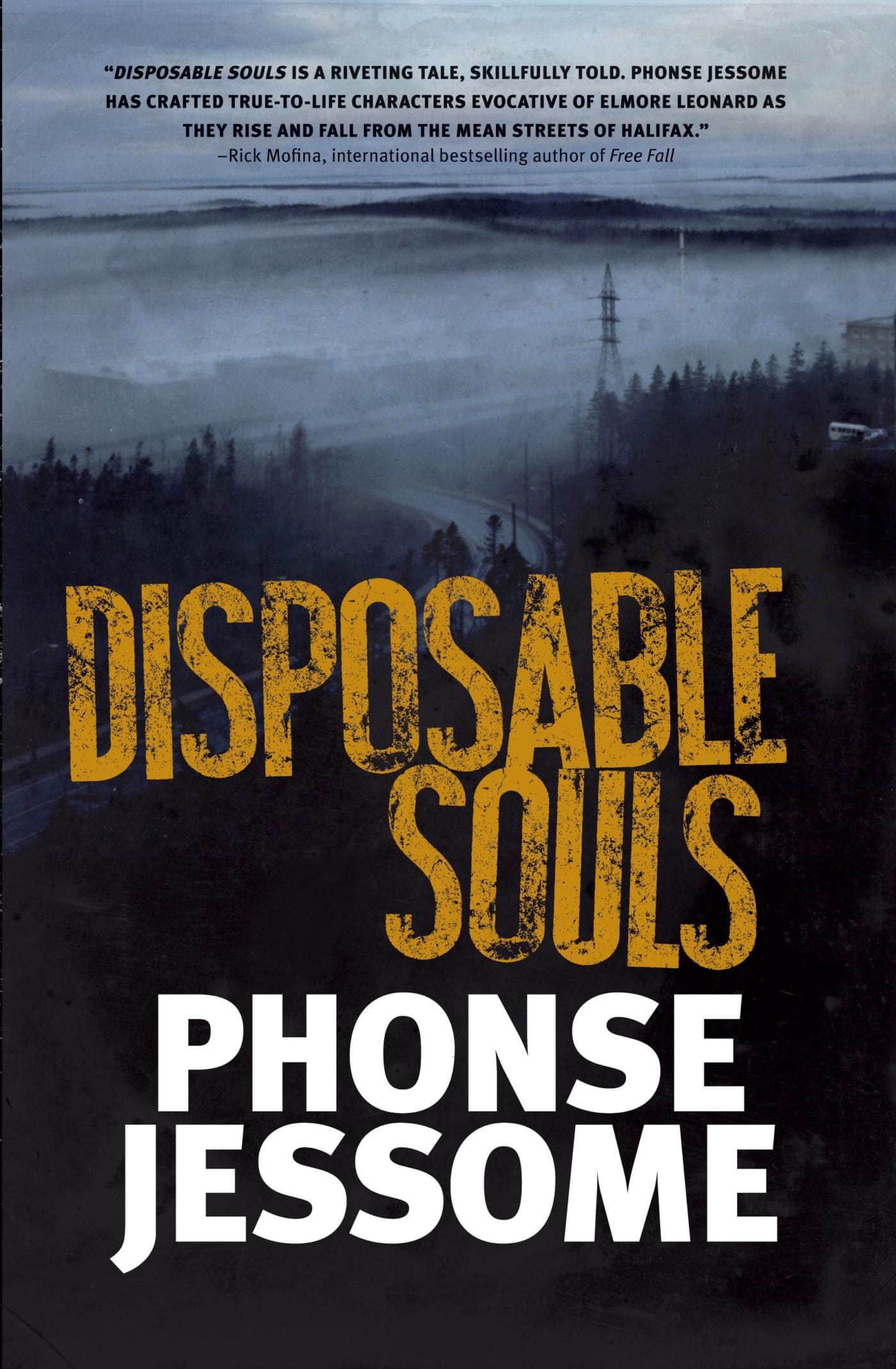 Cover of Disposable Souls