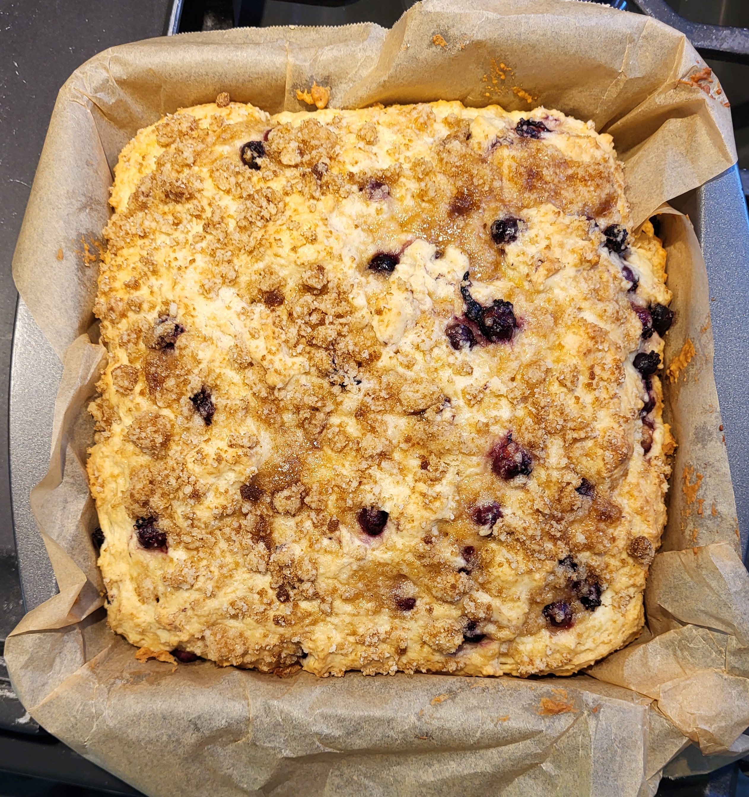 Saskatoon Berry Harvest 2026 with Saskatoon Breakfast Cake Recipe