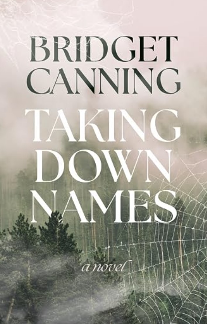 Cover of Taking Down Names